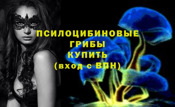 винт Арсеньев
