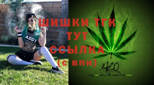 винт Арсеньев