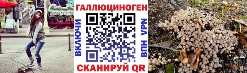 закладки  Зея  Псилоцибиновые грибы MAGIC MUSHROOMS 